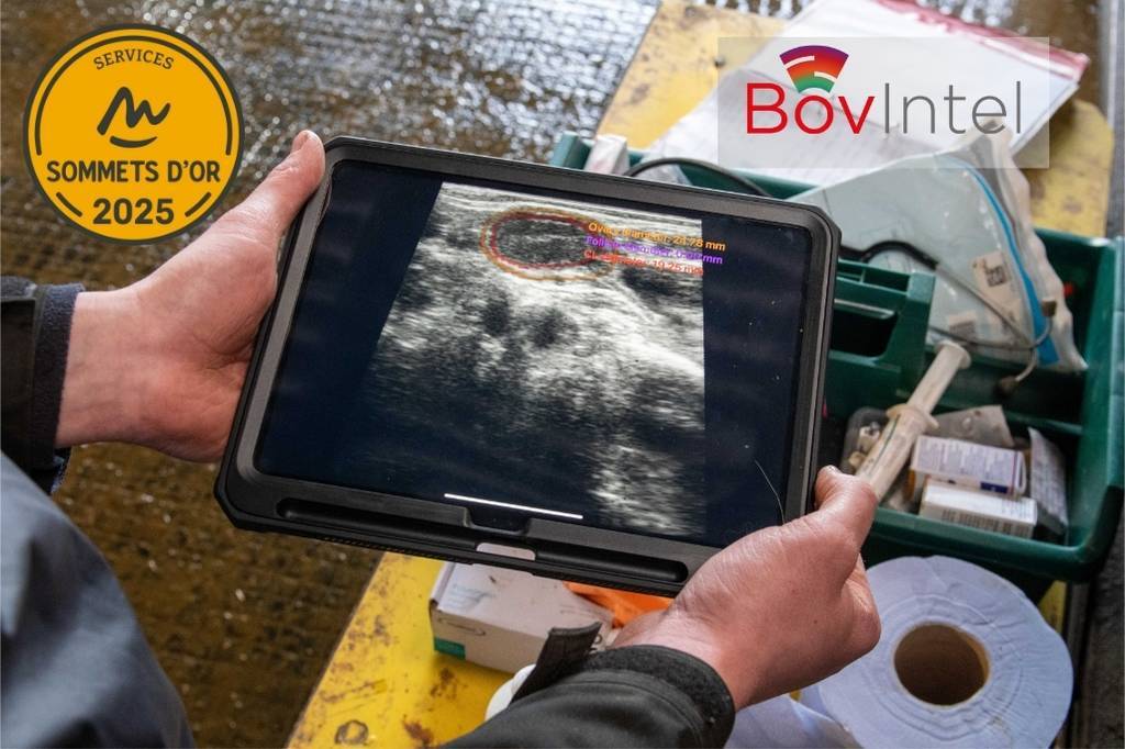 IMV Technologies Wins the 2025 Sommets d’Or Award in the “Services for Livestock Farming” Category with BovIntel
