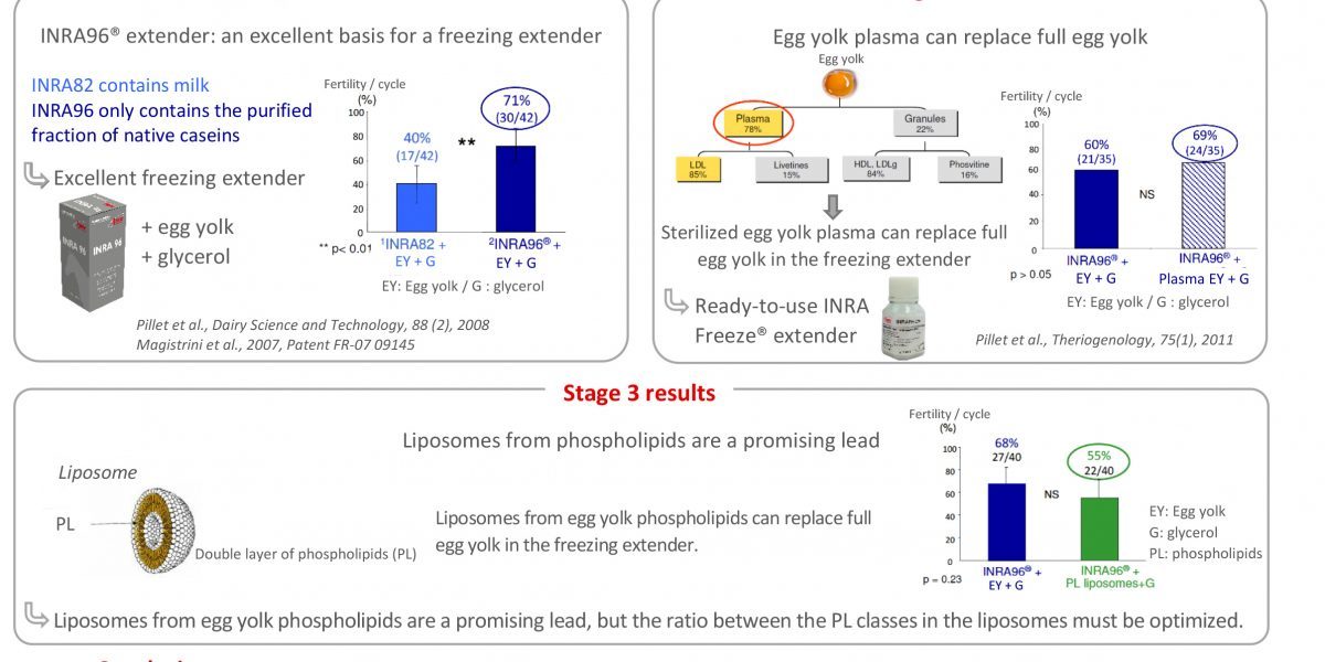 Development of an extender for equine semen cryopreservation and the cryoprotection mechanisms involved