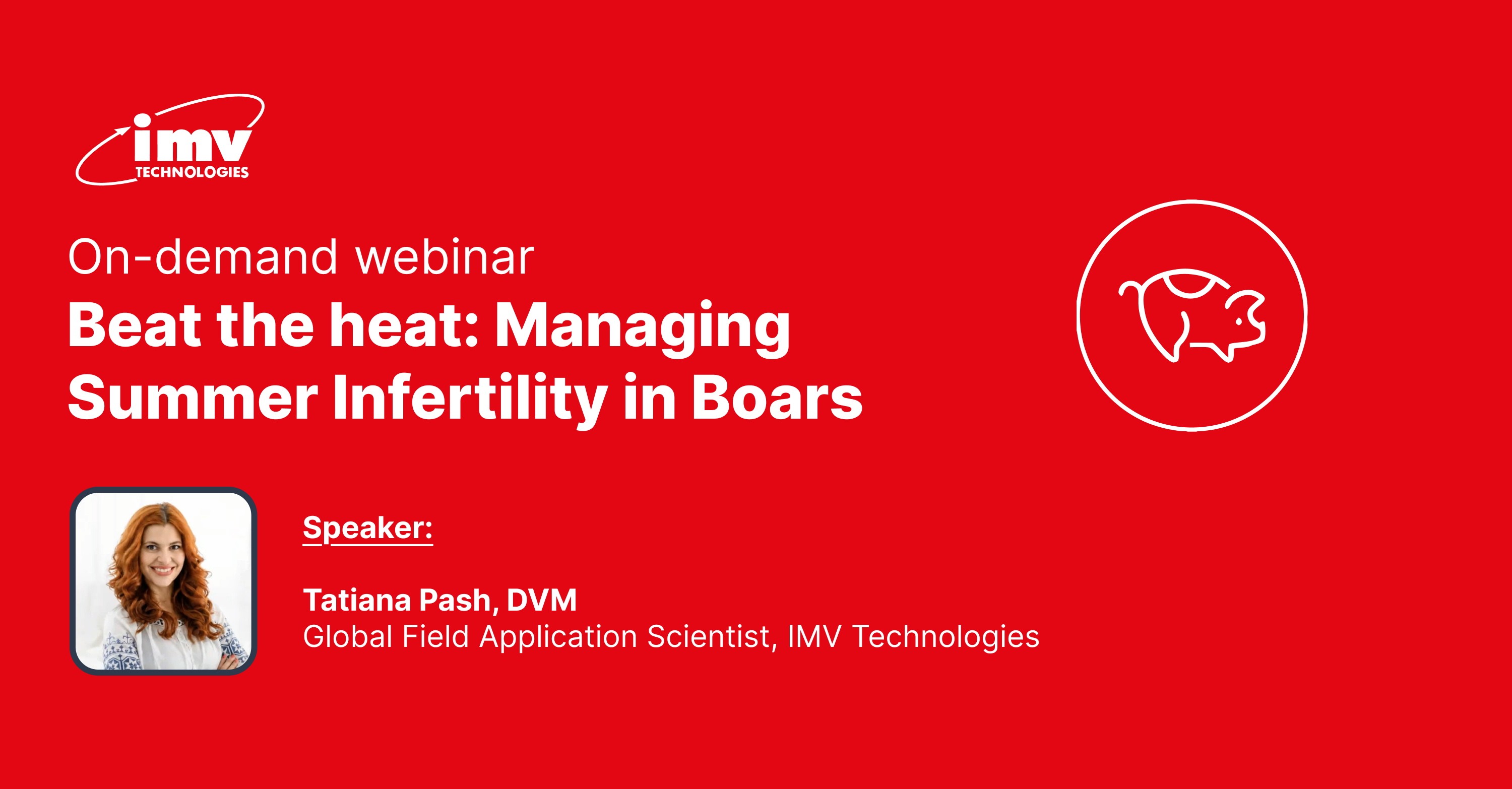 Webinar. Beat the Heat: Managing Summer Infertility in Boars