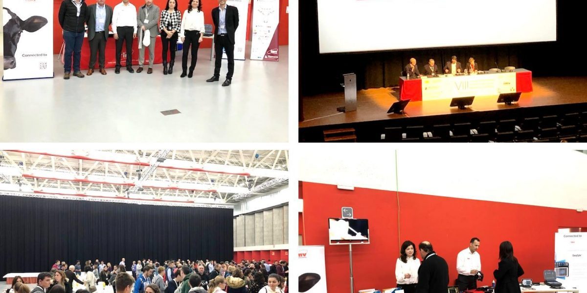 8th International Bovine Conference