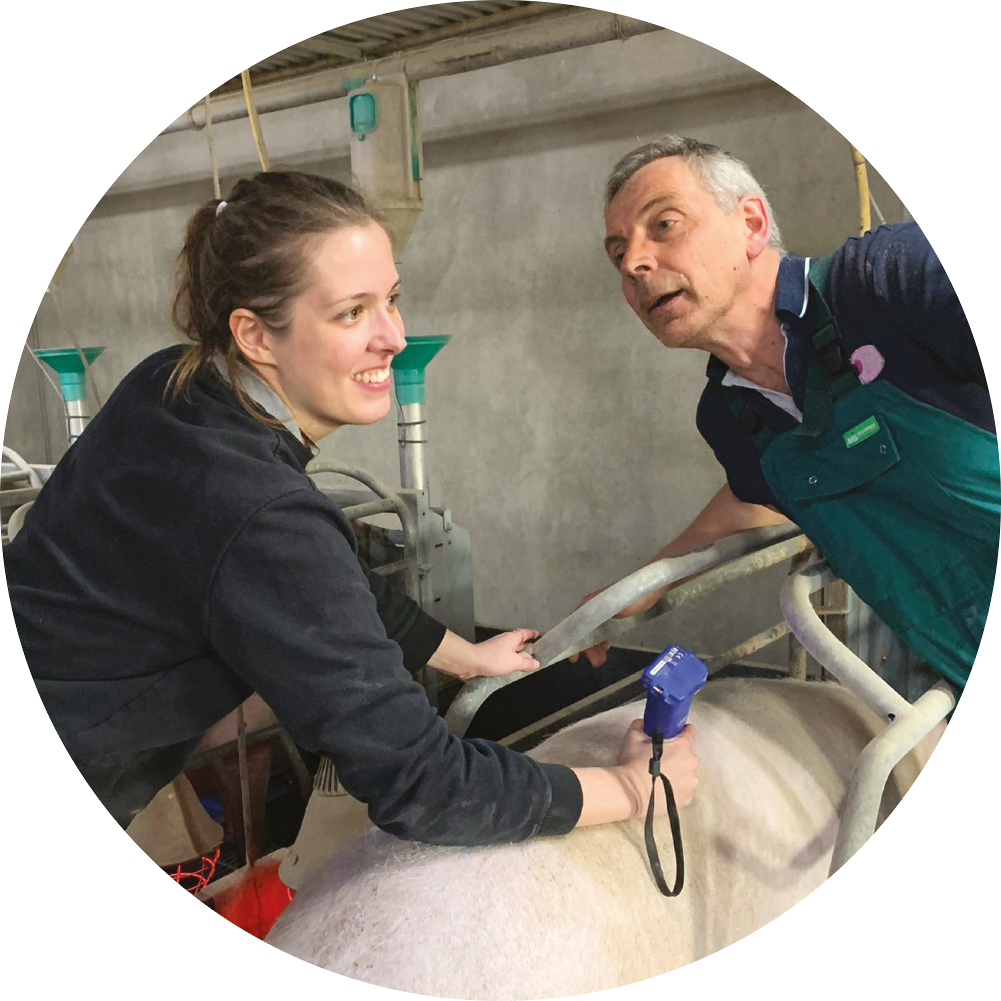 Imaging expertise - 1 day on site - Reference 030434